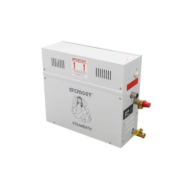 Steam Generator - Image 2